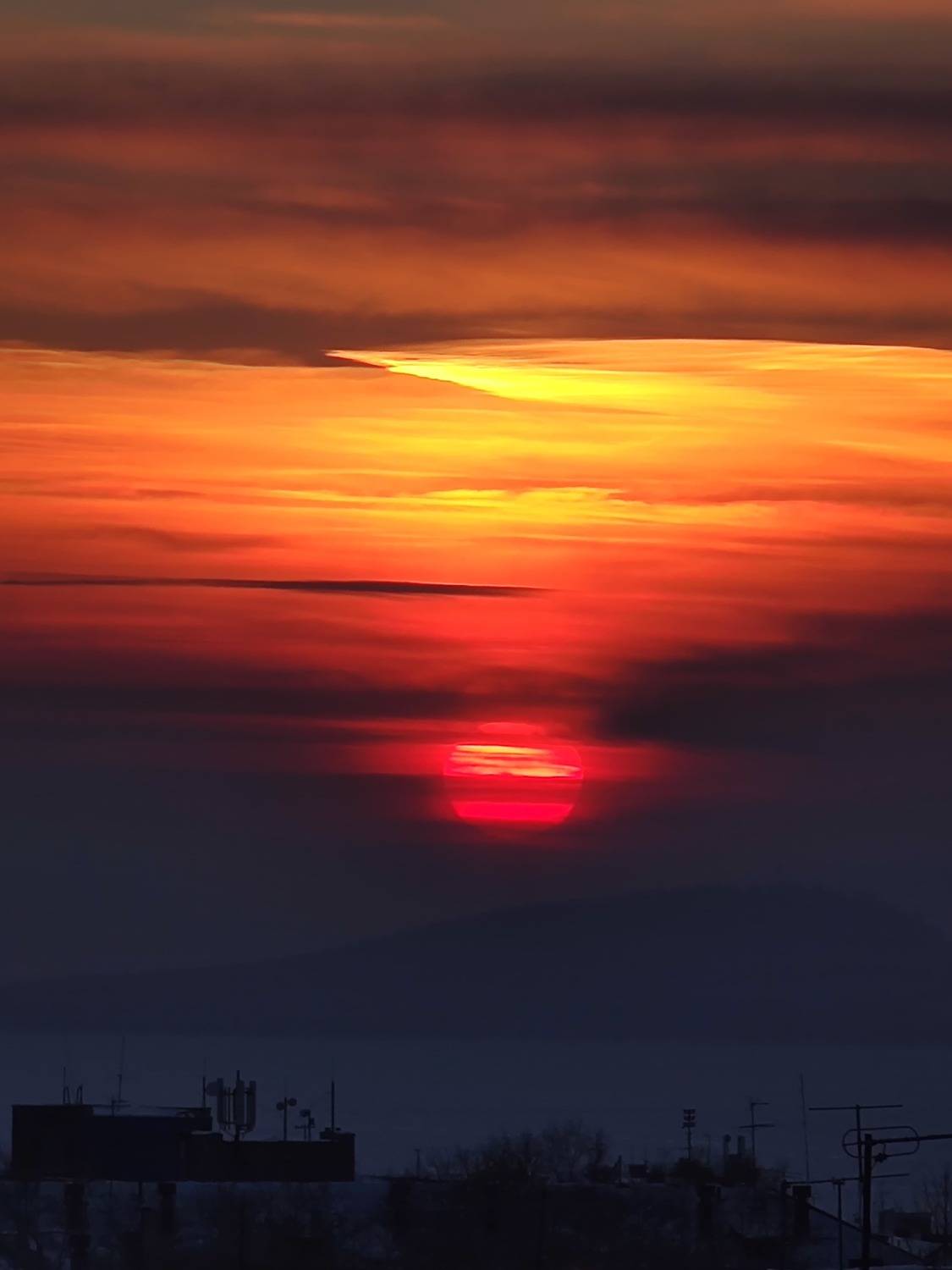 Photo #12644653