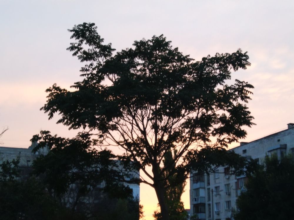 Фотография автора Анатолий Дячина