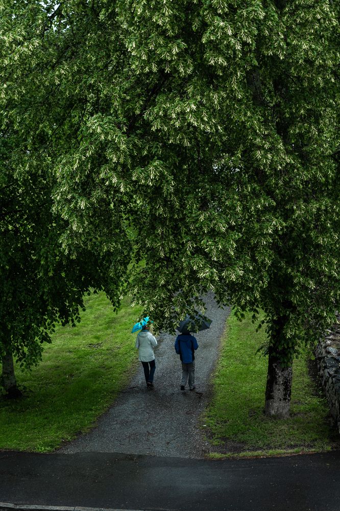 Photograph by Ольга Кудіна