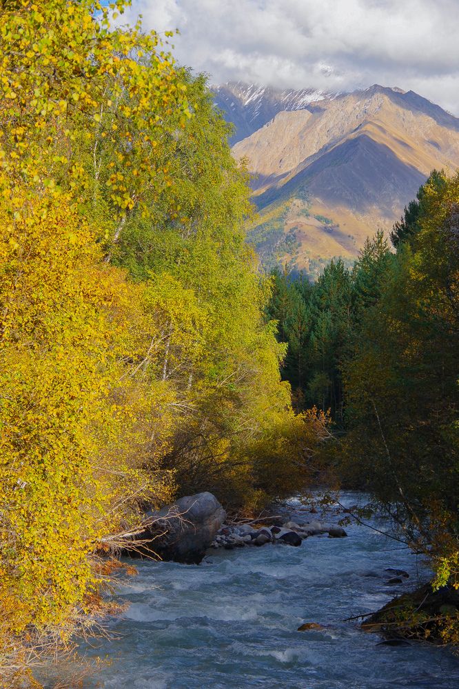 Photograph by Елена Щитова