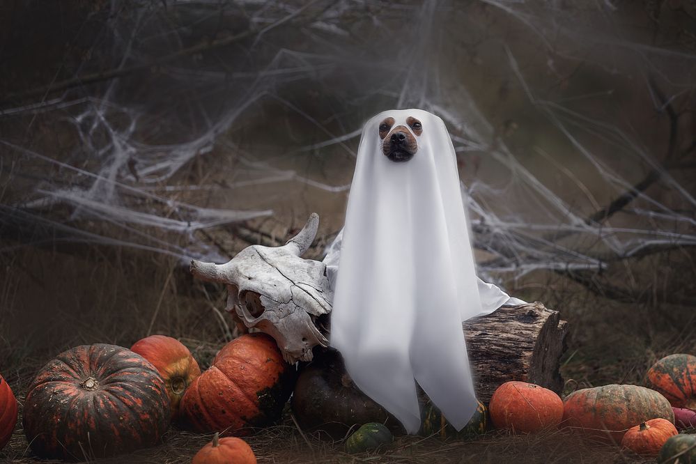 Photograph by Шерскова Мария