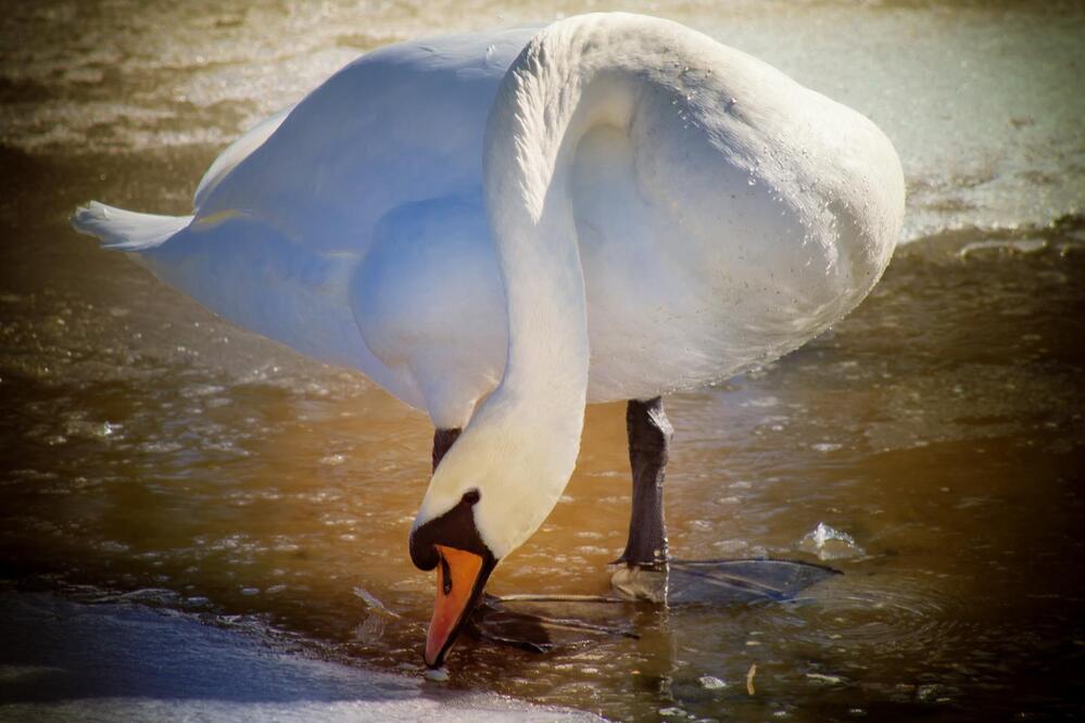 Photograph by Лидия Киприч