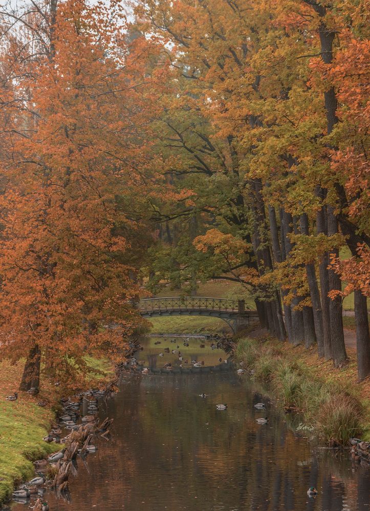 Photograph by Армашов-Тельник Григорий