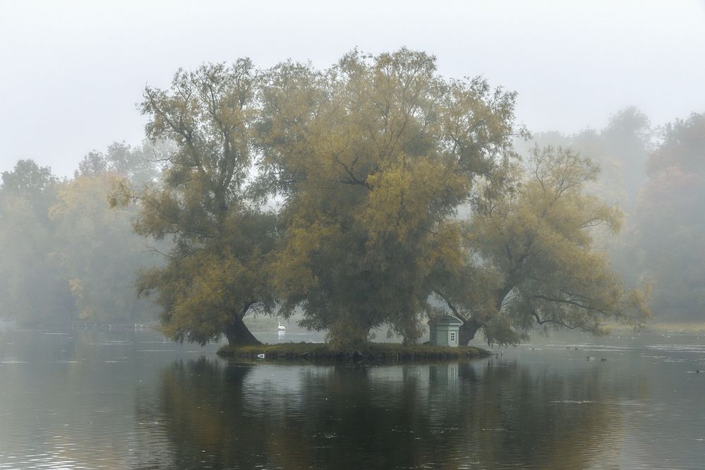 Photograph by Армашов-Тельник Григорий