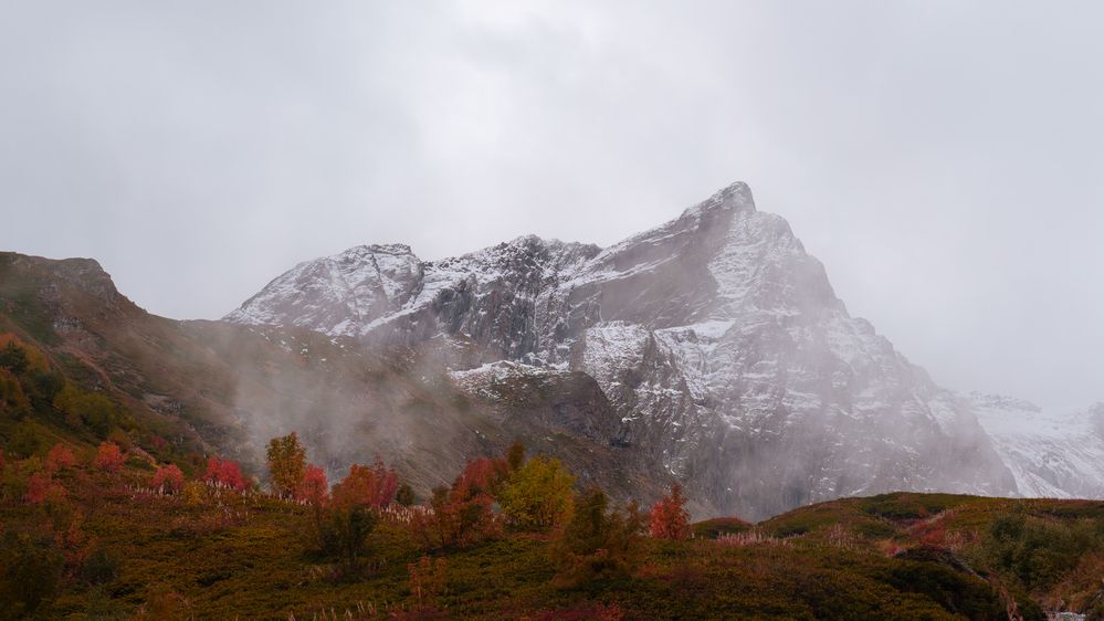 Photograph by Bogdan Kalashnikov