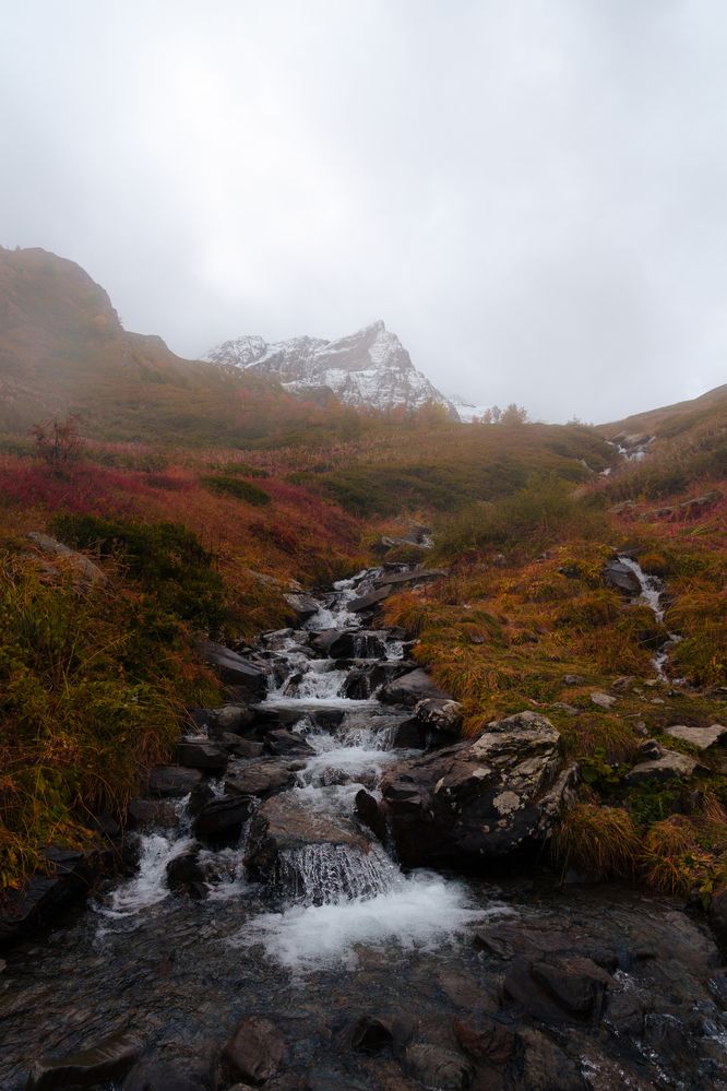 Photograph by Bogdan Kalashnikov