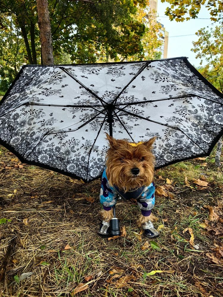 Photograph by Лолита Богачева