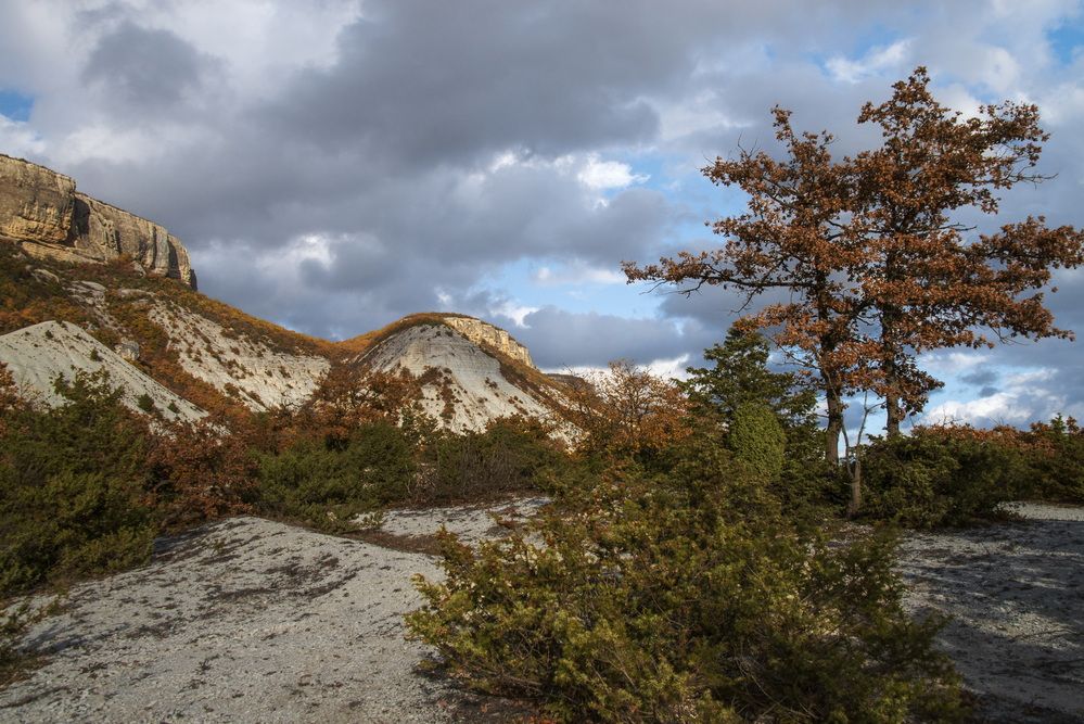 Осень - рыжая девчонка...