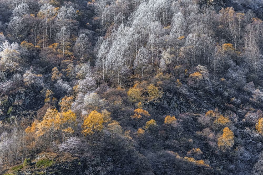 Седина осени