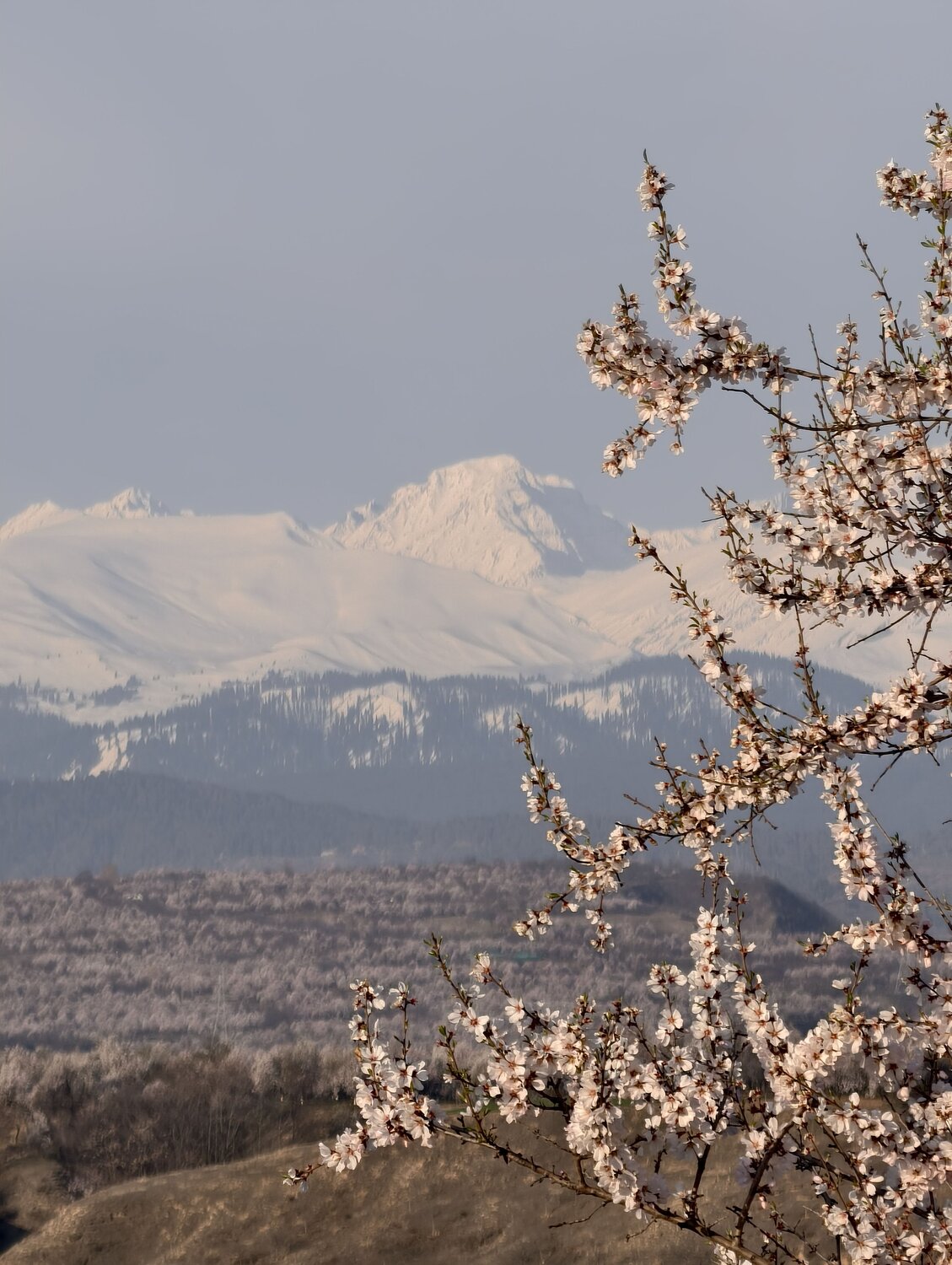 Photo #12644872