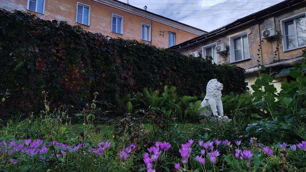 Photograph by Калюнова Наталья