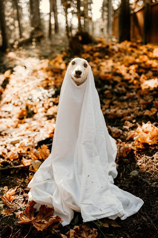 Photograph by Sheena Davies