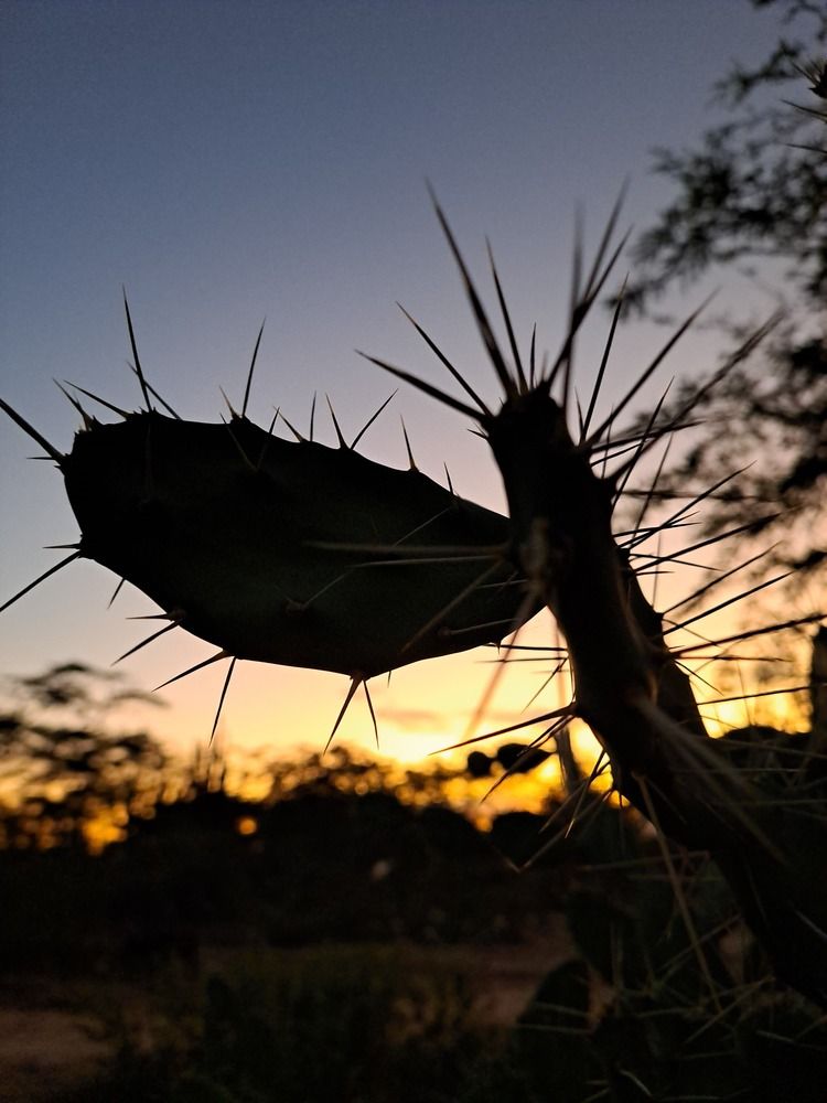 Photograph by Ronaldo solipaz