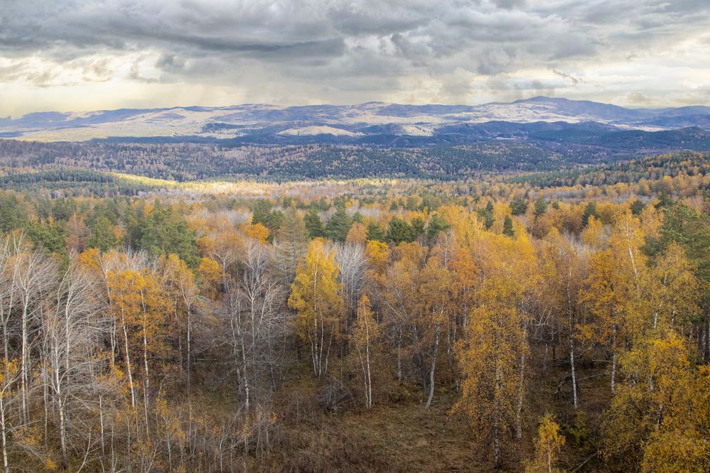 Photograph by Валерий Шорохов