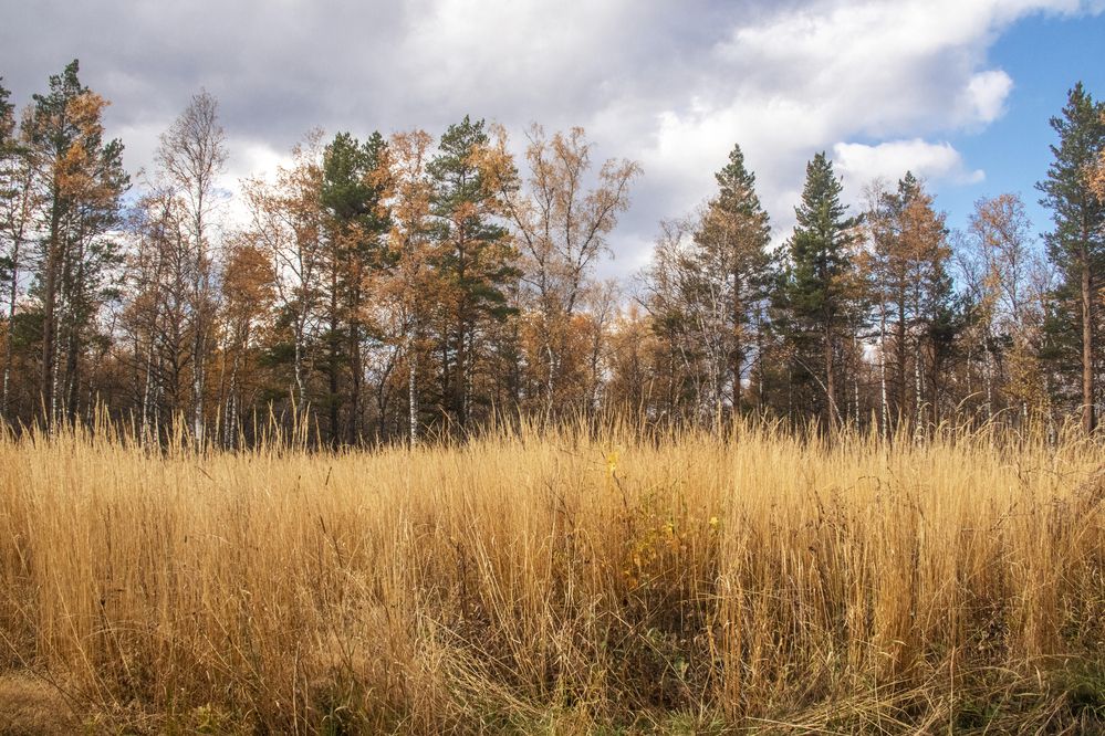 Photograph by Валерий Шорохов