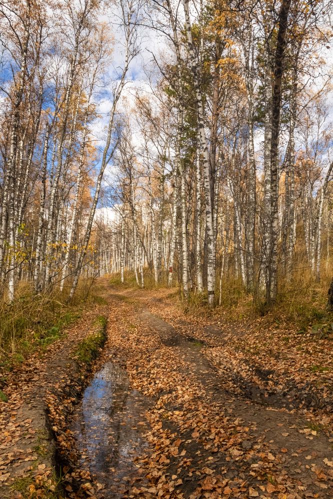 Photograph by Валерий Шорохов