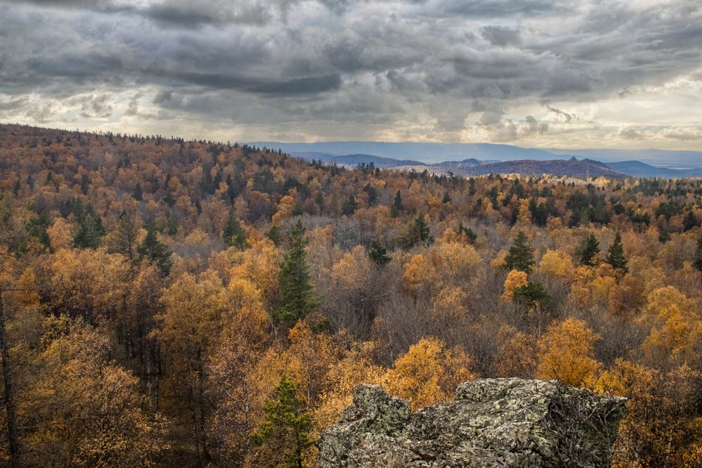 Photograph by Валерий Шорохов
