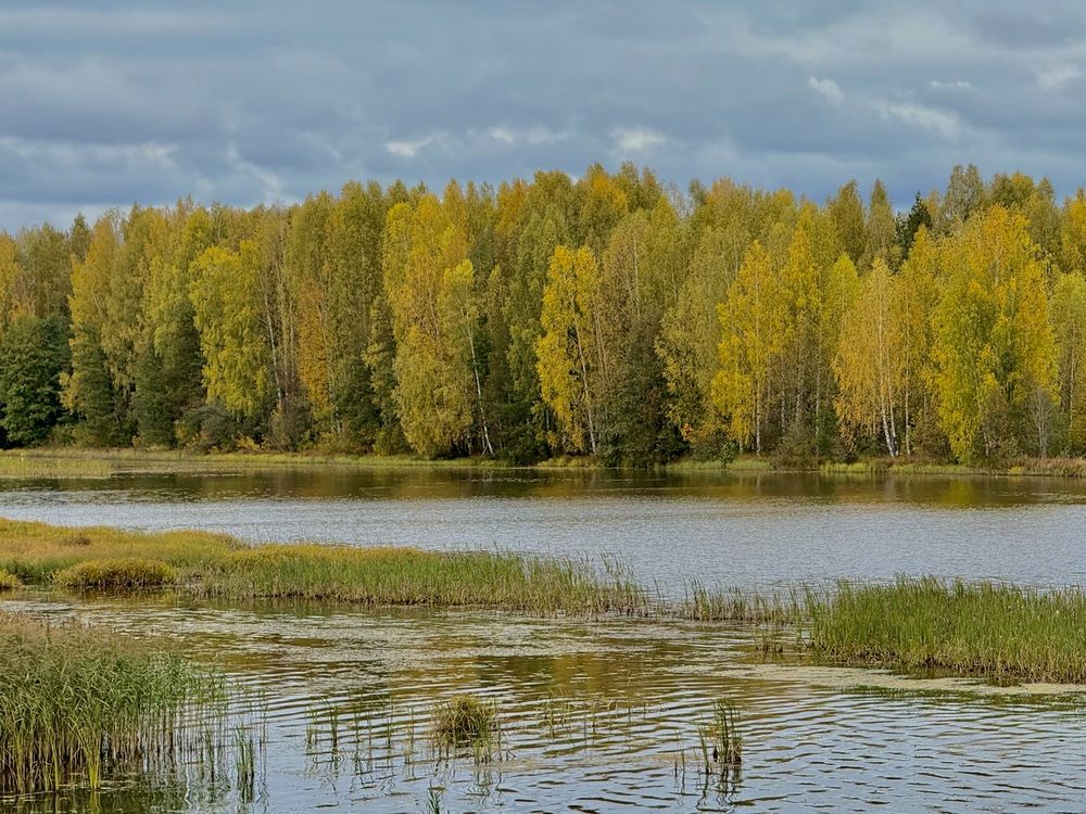 Photograph by Олег Травин