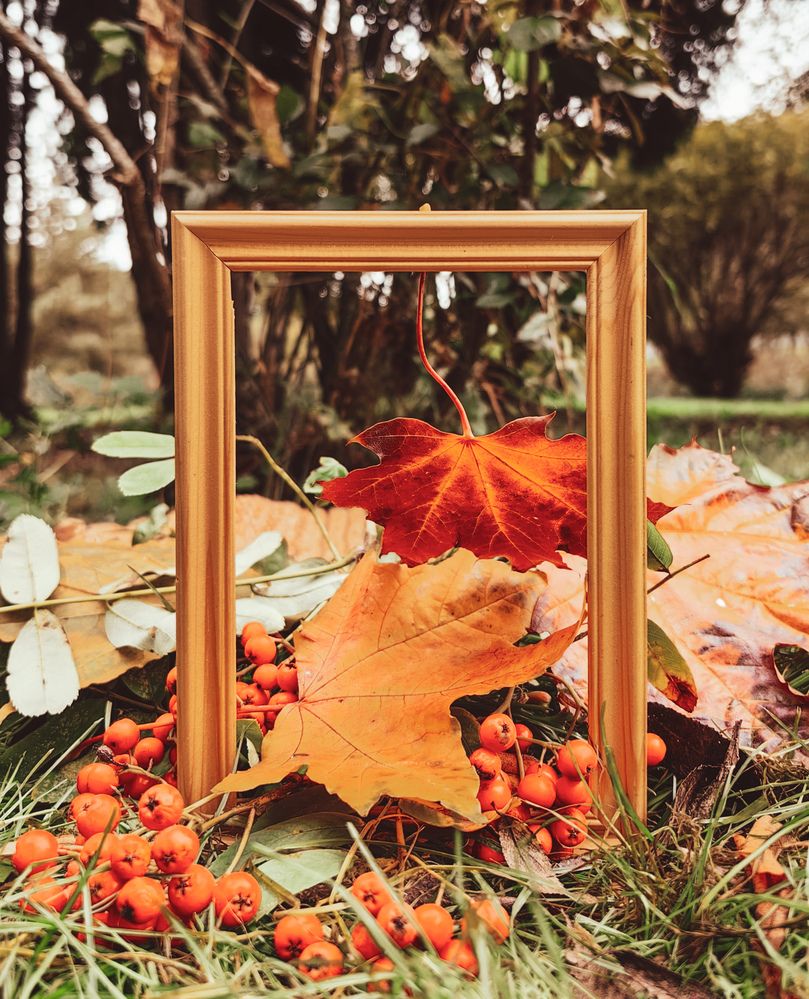 Photograph by Лолита Богачева