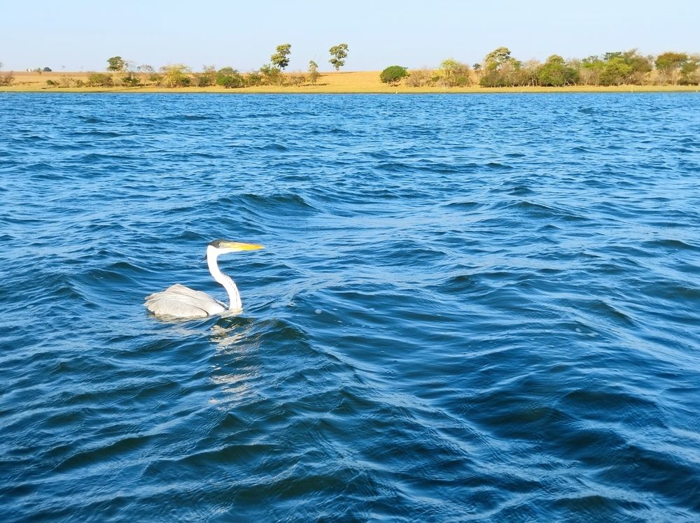 Photograph by Marcelino Pereira Fialho