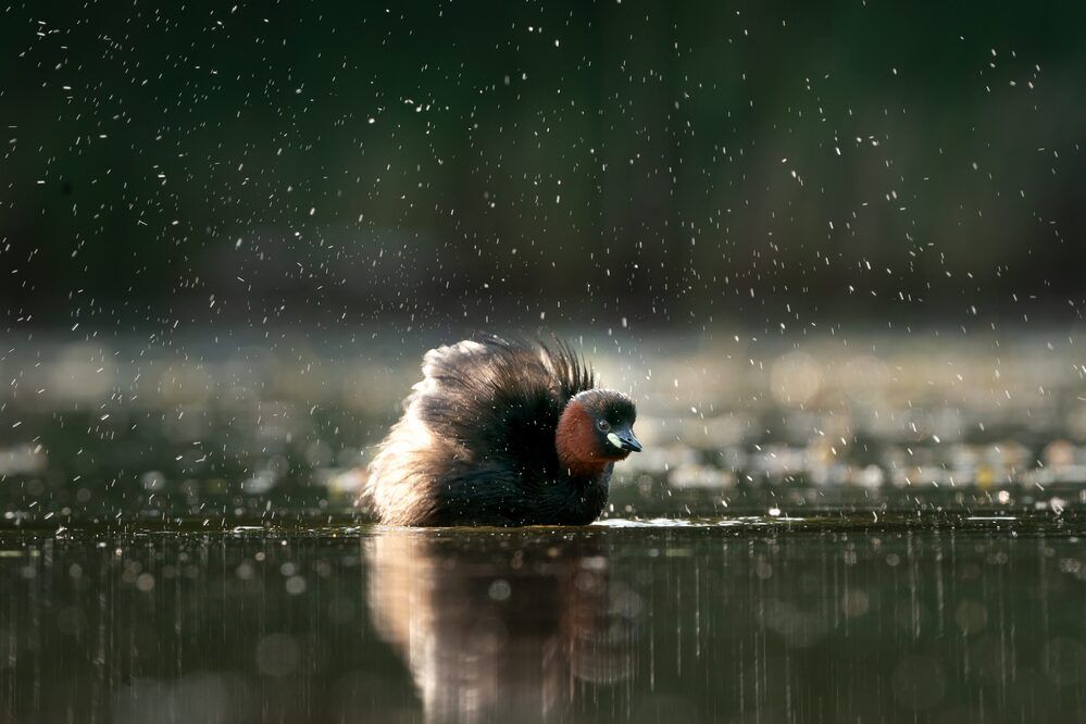 Photograph by Artur Kokociński