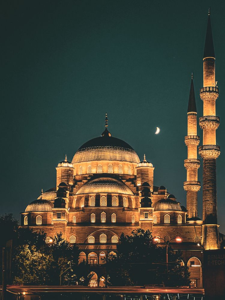 Фотография автора Mustafa Akseli