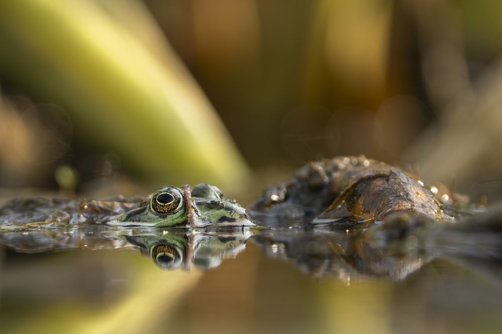 Photograph by Artur Kokociński