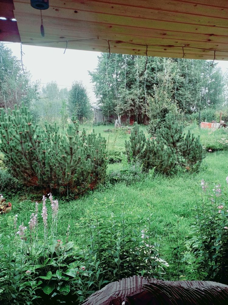 Photograph by Яна