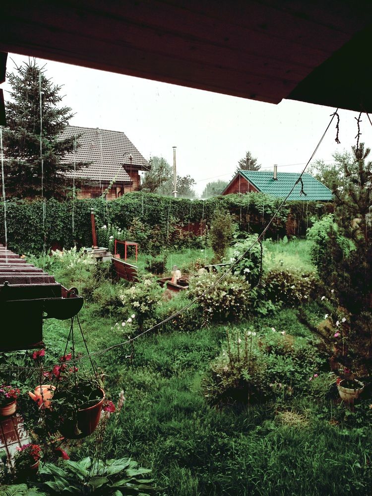 Photograph by Яна