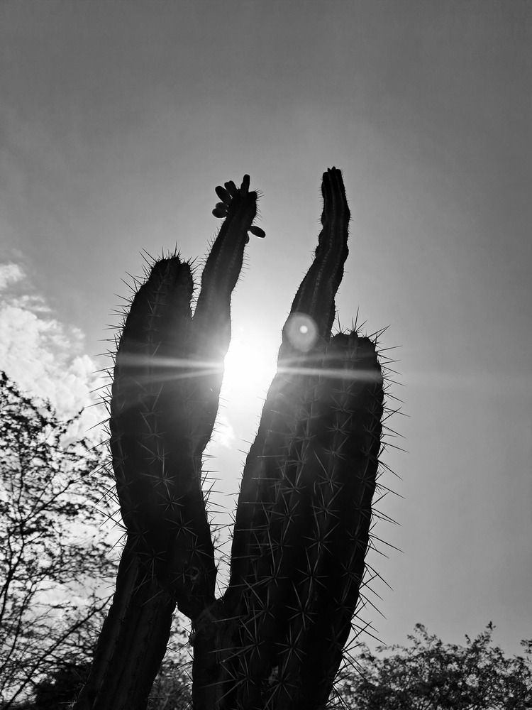 Photograph by Ronaldo solipaz