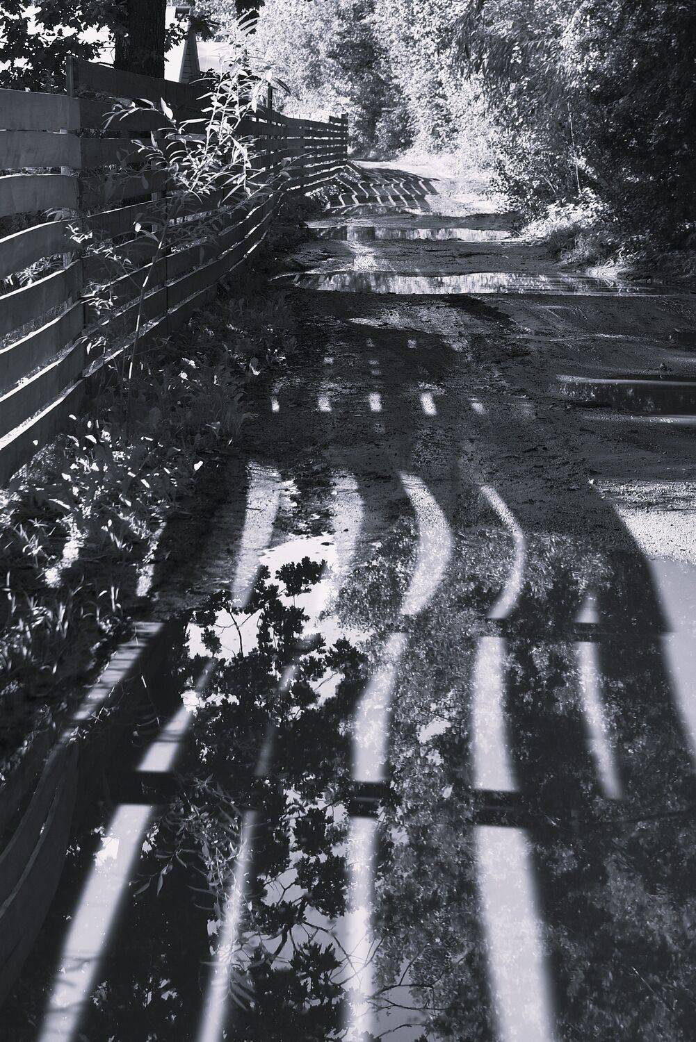 Фотография #12645033