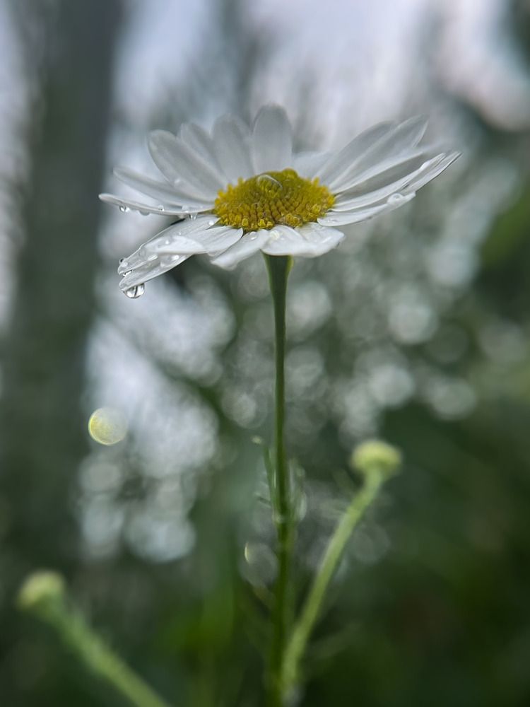 Photograph by Наталия Соболева