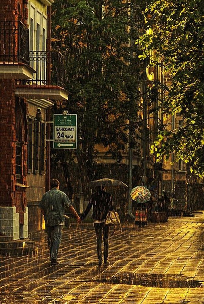 Фотография автора Юрий