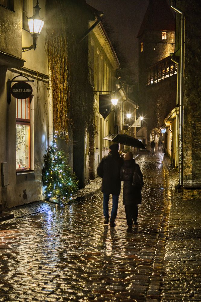 Photograph by Janis Serdienis