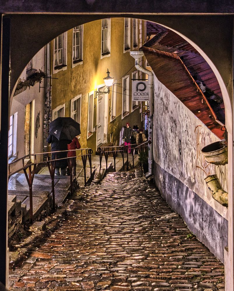 Photograph by Janis Serdienis