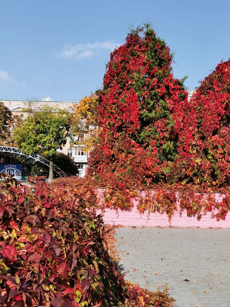 Photograph by Людмила Орловская