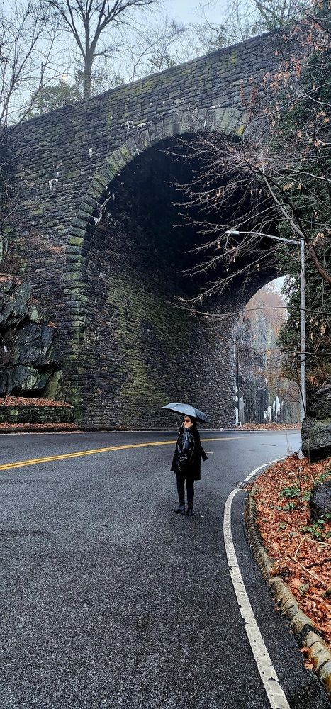 Фотография автора Adriana Rocha