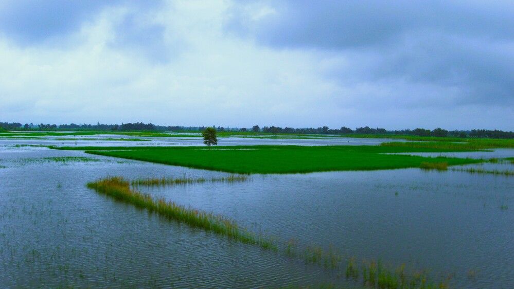 Photograph by shashiranjan prakash