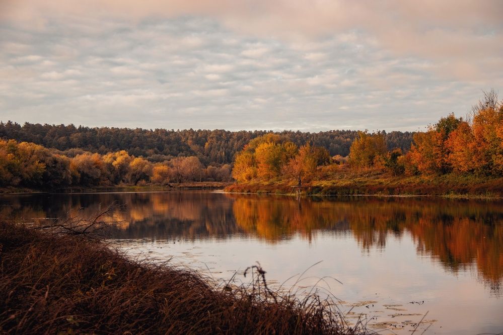 Photograph by Анна Любимова
