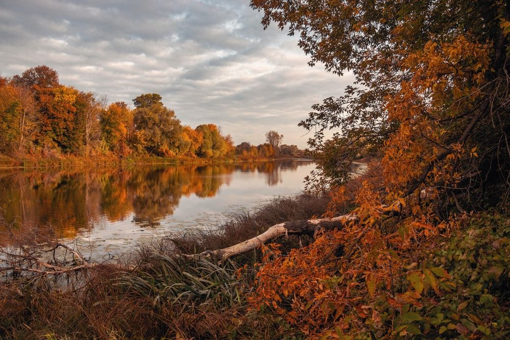Photograph by Анна Любимова