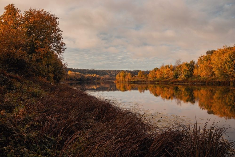 Photograph by Анна Любимова