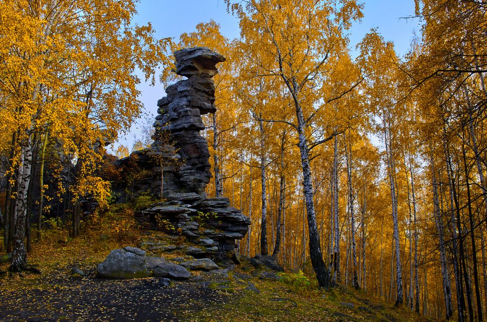 Окружила осень.