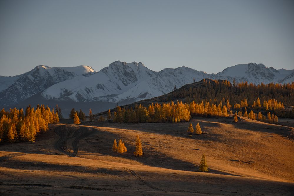 Photograph by Эльвира Чернова