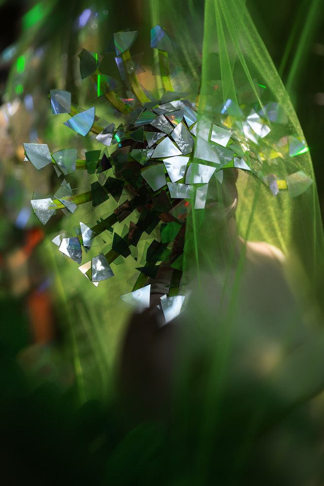 Photograph by Kseniia Suvorova