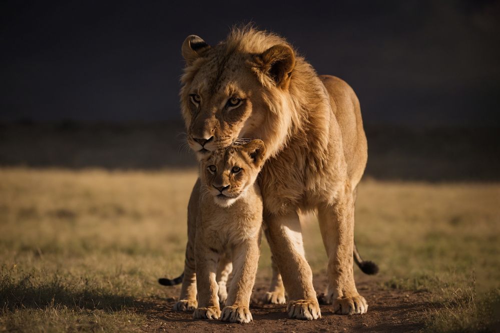 Photograph by Наталья Максимова