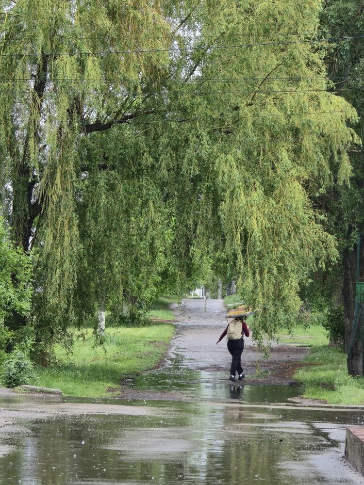 Photograph by Карина Слабкая