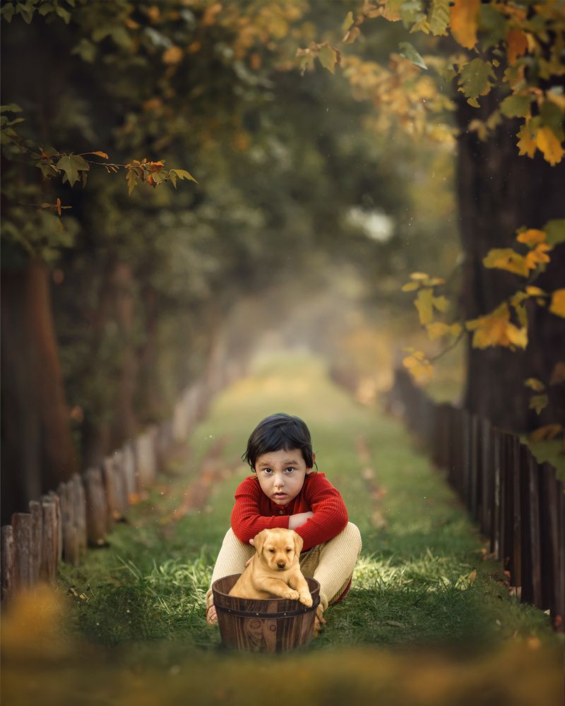 Not Happy with basket