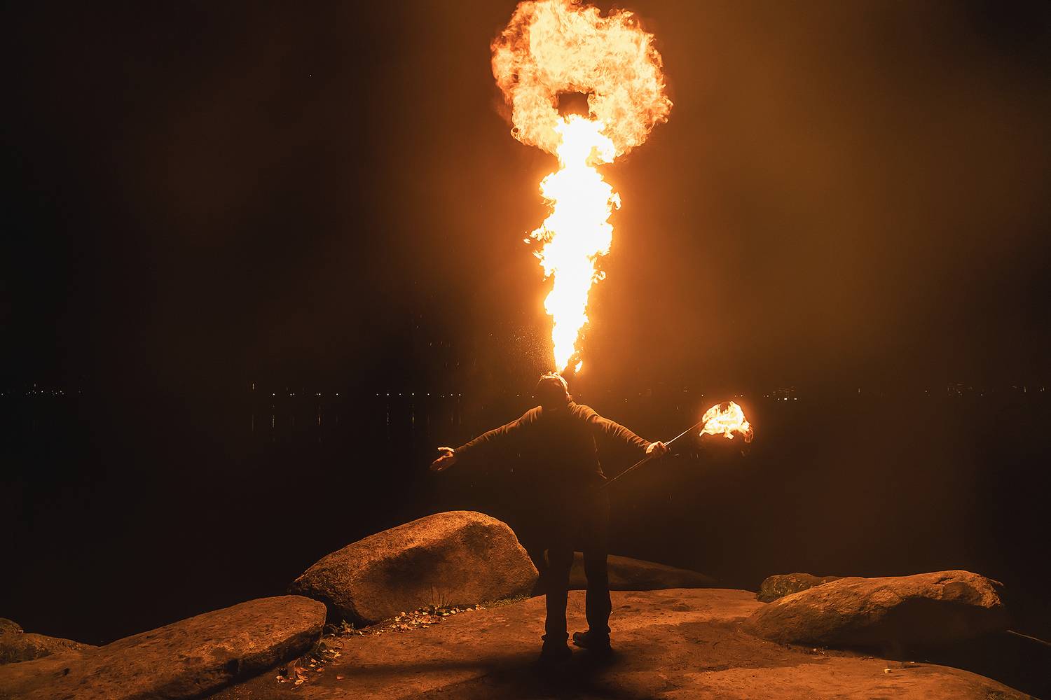 Photo #12646148
