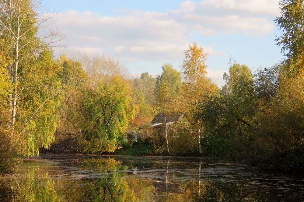 Фотография автора Екатерина Солохина