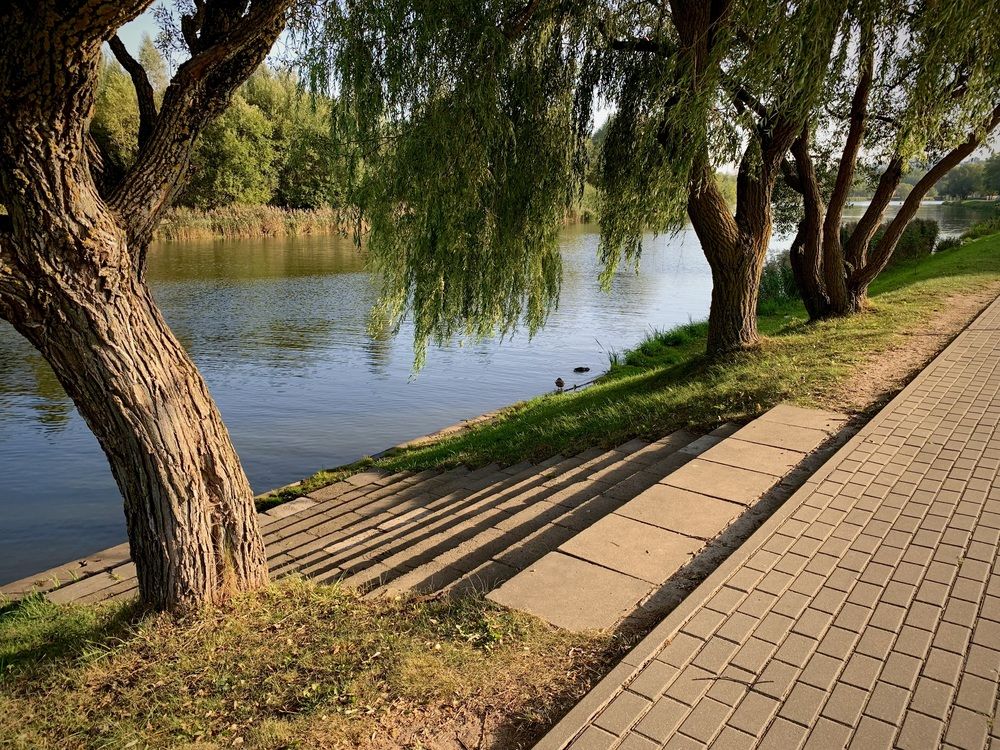 Photograph by Надежда Смирнова